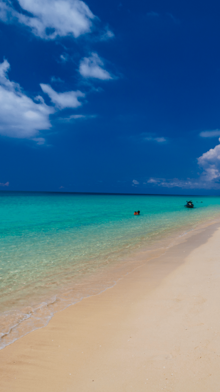 砂浜の画像